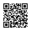 QR Code (код быстрого отклика)