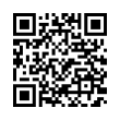 QR Code (код быстрого отклика)