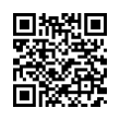 QR Code (код быстрого отклика)