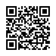 QR Code (код быстрого отклика)