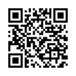 QR Code (код быстрого отклика)