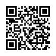 QR Code (код быстрого отклика)