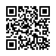 QR Code (код быстрого отклика)