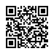 QR Code (код быстрого отклика)