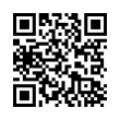 QR Code (код быстрого отклика)