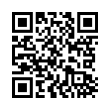 QR Code (код быстрого отклика)