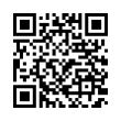 QR Code (код быстрого отклика)