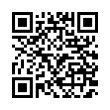 QR Code (код быстрого отклика)