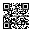 QR Code (код быстрого отклика)