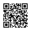 QR Code (код быстрого отклика)