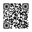 QR Code (код быстрого отклика)