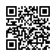 QR Code (код быстрого отклика)