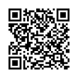 QR Code (код быстрого отклика)