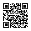 QR Code (код быстрого отклика)