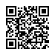 QR Code (код быстрого отклика)