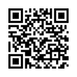 QR Code (код быстрого отклика)