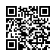 QR Code (код быстрого отклика)