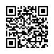 QR Code (код быстрого отклика)