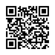 QR Code (код быстрого отклика)