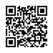 QR Code (код быстрого отклика)