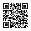 QR Code (код быстрого отклика)