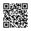 QR Code (код быстрого отклика)