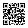 QR Code (код быстрого отклика)