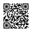 QR Code (код быстрого отклика)