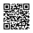 QR Code (код быстрого отклика)