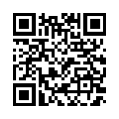 QR Code (код быстрого отклика)