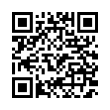 QR Code (код быстрого отклика)