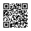 QR Code (код быстрого отклика)