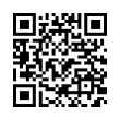 QR Code (код быстрого отклика)