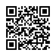 QR Code (код быстрого отклика)