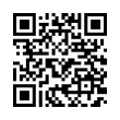 QR Code (код быстрого отклика)
