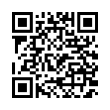 QR Code (код быстрого отклика)