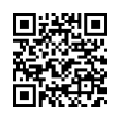 QR Code (код быстрого отклика)