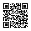 QR Code (код быстрого отклика)