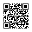 QR Code (код быстрого отклика)