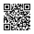 QR Code (код быстрого отклика)