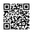 QR Code (код быстрого отклика)