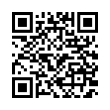 QR Code (код быстрого отклика)