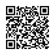 QR Code (код быстрого отклика)