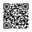 QR Code (код быстрого отклика)