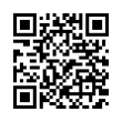 QR Code (код быстрого отклика)