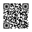 QR Code (код быстрого отклика)