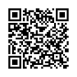 QR Code (код быстрого отклика)