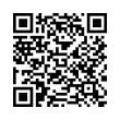 QR Code (код быстрого отклика)