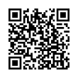 QR Code (код быстрого отклика)