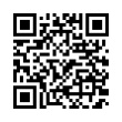 QR Code (код быстрого отклика)